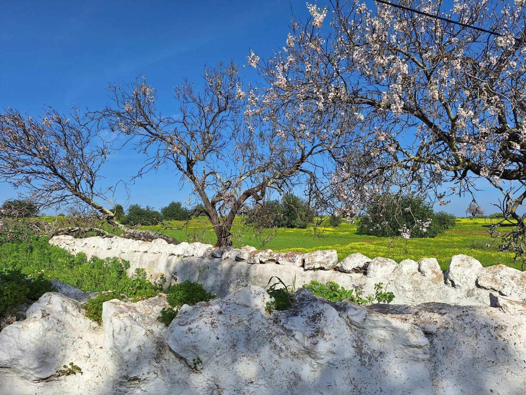 Milagres De Santa Rita Daire Vila Nova de Cacela Dış mekan fotoğraf